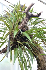 Killikus&reg; Fotographie